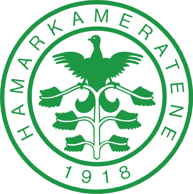 FC Hamarkameratene